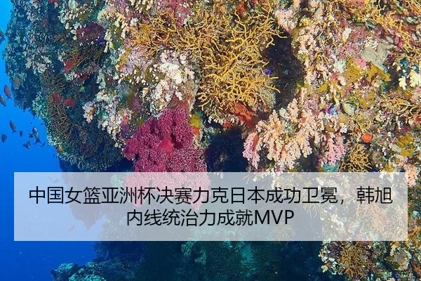 zhong-guo-nv-lan-ya-zhou-bei-jue-sai-li-ke-ri-ben-cheng-gong-wei-mian-han-xu-nei-xian-tong-zhi-li-cheng-jiu-2-266.jpg