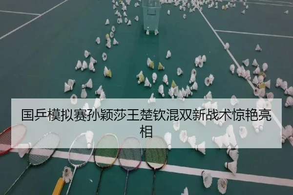 guo-ping-mo-ni-sai-sun-ying-sha-wang-chu-qin-hun-shuang-xin-zhan-shu-jing-yan-liang-xiang-3-224.jpg